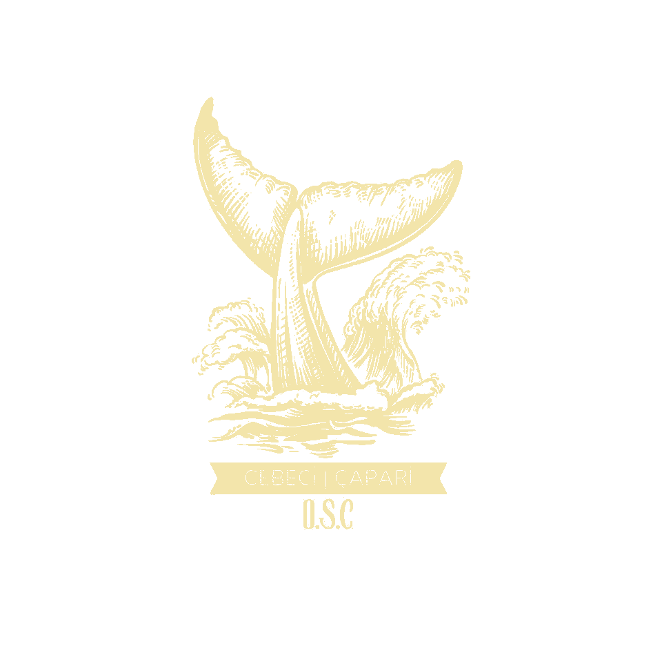 Cebeci Çapari Logo